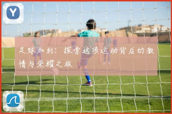 足球加利：探索这项运动背后的激情与荣耀之旅